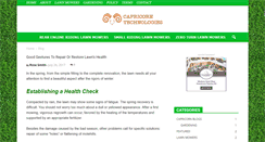 Desktop Screenshot of capricorn-tech.com